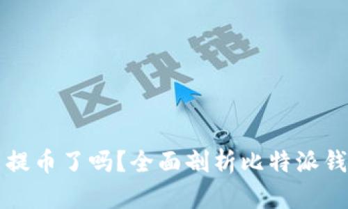 比特派不能提币了吗？全面剖析比特派钱包提现问题